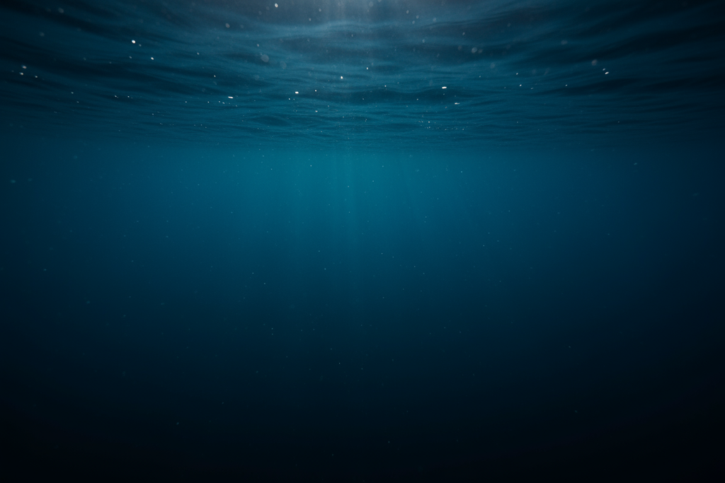 Redefining Beauty and Business: How Dip Hair Care is Making “Smart Money” Sustainable