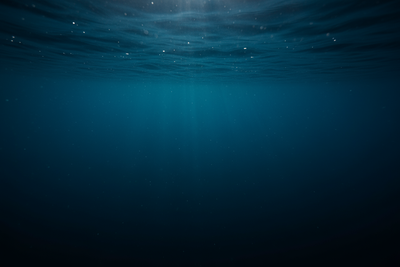 What Is Digital Pollution? Kate Assaraf on the Hidden Waste Problem in Modern Commerce