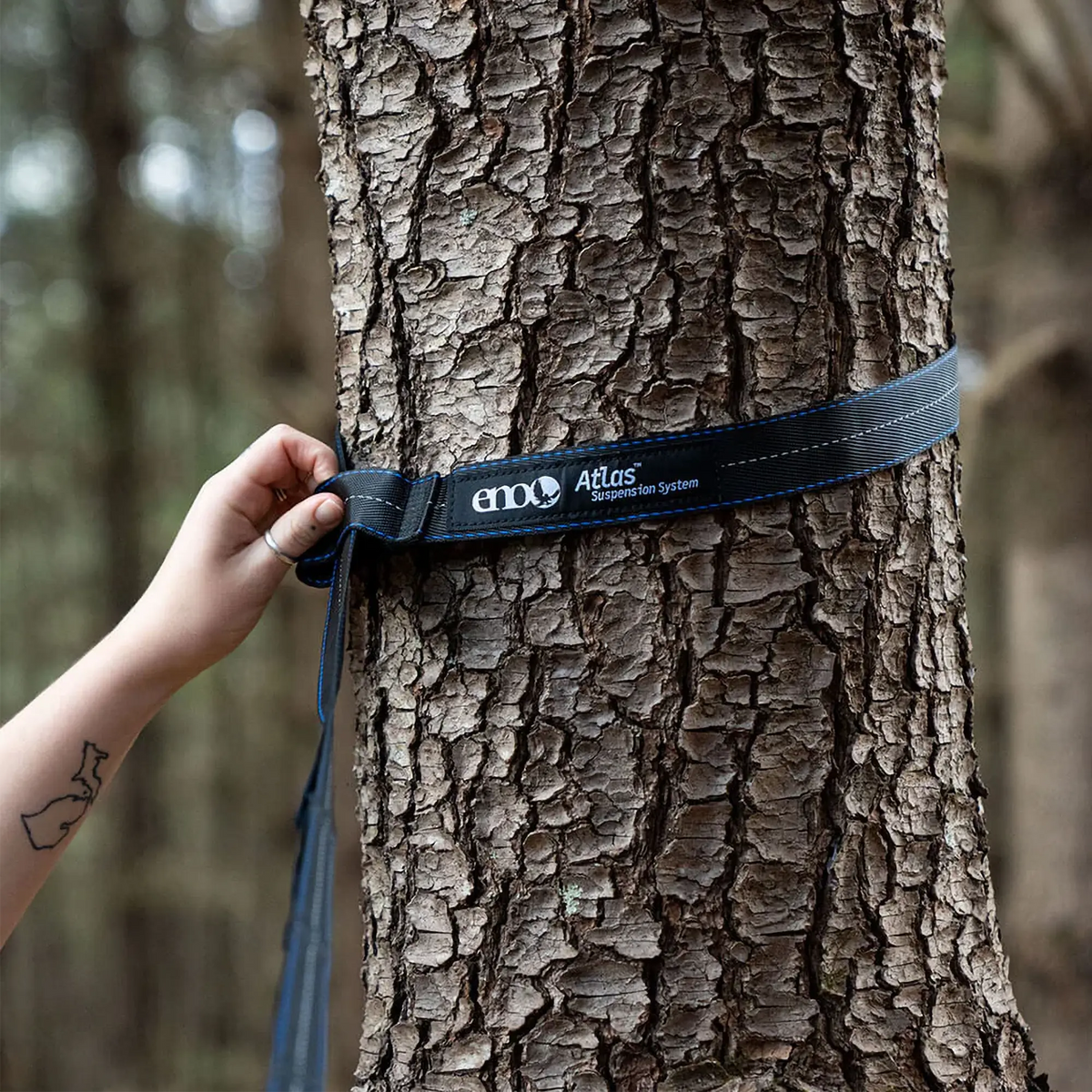 Dip & Eno DoubleNest Hammock + Atlas Straps Bundle